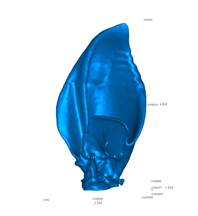 rhipus005l